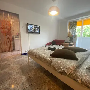  Apartament Piata Resita Host