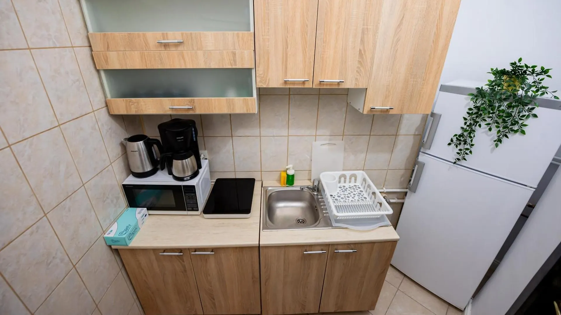 Appartamento Bucharest City Center Villa